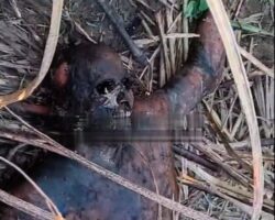 Decomposing male body found in field