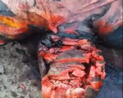 Discovery of tortured and mutilated corpse shocked all Búzios