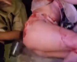 Drunk man intentionally drove car into crowd in LA