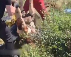Elderly Romanian woman bursts apart when hit by train