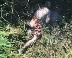 Elimination of Russian enemy by drone