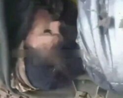 Fallen Ukrainian female fighters
