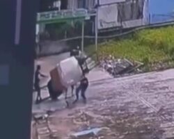 Fatal accident during forklift operation
