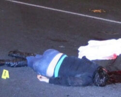 Female motorcyclist without helmet smashed her skull against guardrail