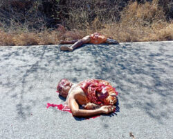 Guy cut in half by fast-moving vehicle