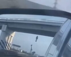 Hanged man on highway bridge in Mexico