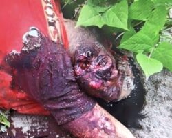 Man assassinated while walking with his father