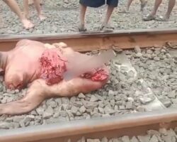 Man torn apart by train while attempting to cross tracks