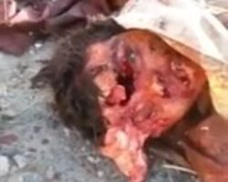 Members of ISIS killed by Shia militias