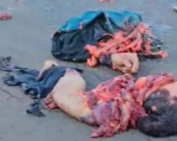 Motorcyclist left behind only bloody trail