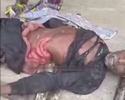 Nigerian farmer trampled by wild elephant