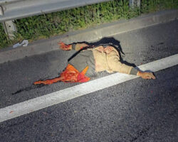 Nighttime pedestrian fatally struck and torn apart by BMW driver