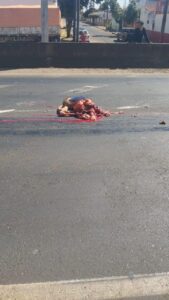 Pedestrian crushed by truck on BR-365