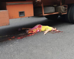 Pedestrian fatally crushed by truck