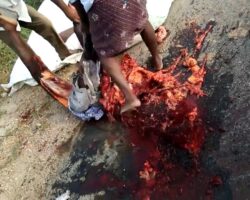 Road accident turned pregnant woman into bloody pulp