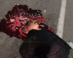 Three men on motorcycle fatally struck by truck