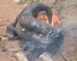 Ugandan thief lynched to death in Congolese village
