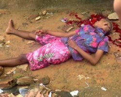 Young gangster assassinated in side alley
