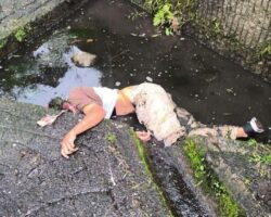 Young man ends his life by jumping from overpass