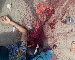 Cambodian motorcyclist fatally crushed by truck