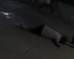 Chinese guy killed with machete during street fight