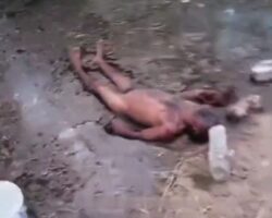 Corpse of man with signs of torture found in animal pen