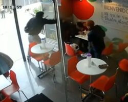 Criminal gunned down inside juice bar
