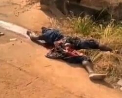 Crushed to death by bulldozer