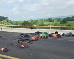 Dismembered bodies of three people dumped on road in Veracruz, Mexico