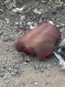 Dismembered human remains found on dirt road in Ecuador
