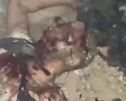 Five Al Jazeera journalists killed during Israeli attack