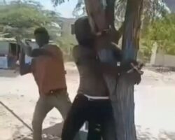 Haitian thief painfully beaten with wooden stick