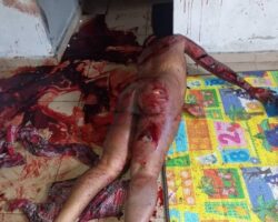 He murdered his girlfriend because of suspicion of infidelity