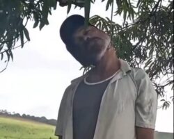 Man found hanged in mango plantation