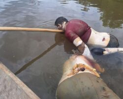 Massacre of illegal gold miners in Brazil
