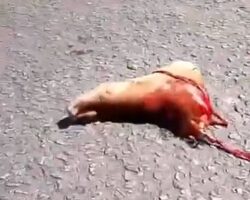 Motorcycle accident amputated his foot