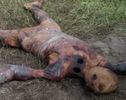 Naked burned woman with signs of torture found