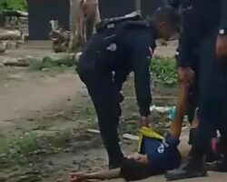 Police officers cold-bloodedly execute suspect during arrest