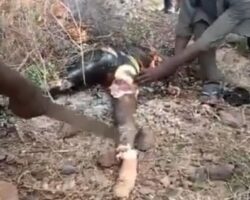 Set on fire, dismembered, and eaten in Nigeria