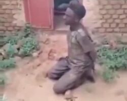 Sudanese RSF militant executes civilian