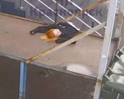 Suicide of 16-year-old Russian girl