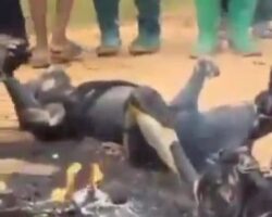 Three people burned to death in collision between two motorcycles
