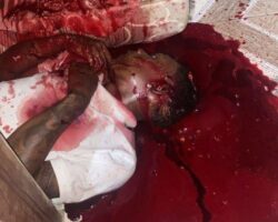 Young gangster murdered inside his home