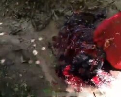 Young man with shattered head found in Marechal Deodoro