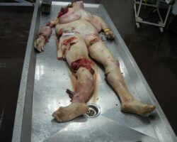 79-year-old woman run over by train