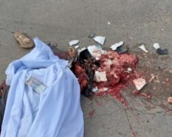Cambodian crushed to death by truck