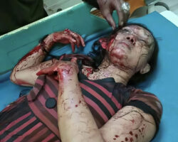 Couple with child fatally attacked by home bulgar
