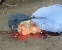 Elderly man fatally hit while crossing road