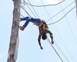 Energy company worker killed by electricity