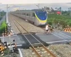 Female cyclist hit by train